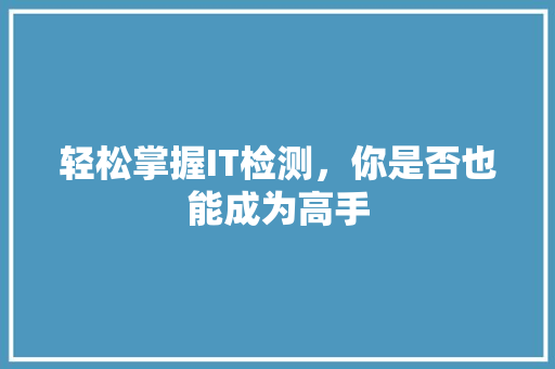 轻松掌握IT检测，你是否也能成为高手 必应SEO