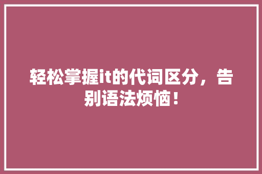 轻松掌握it的代词区分，告别语法烦恼！ 神马SEO