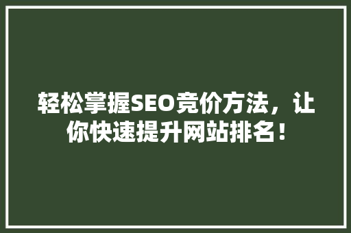 轻松掌握SEO竞价方法，让你快速提升网站排名！