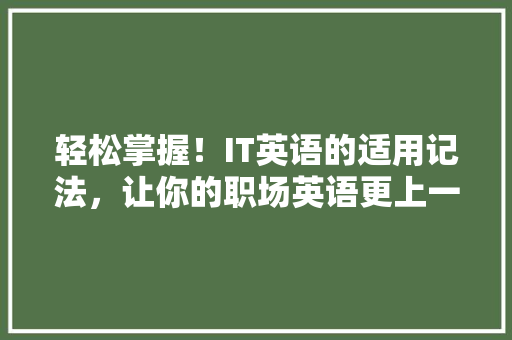 轻松掌握！IT英语的适用记法，让你的职场英语更上一层楼 必应SEO
