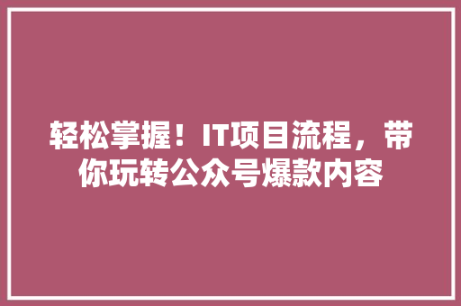 轻松掌握！IT项目流程，带你玩转公众号爆款内容 百度SEO