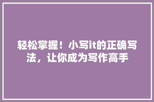 轻松掌握！小写it的正确写法，让你成为写作高手 神马SEO
