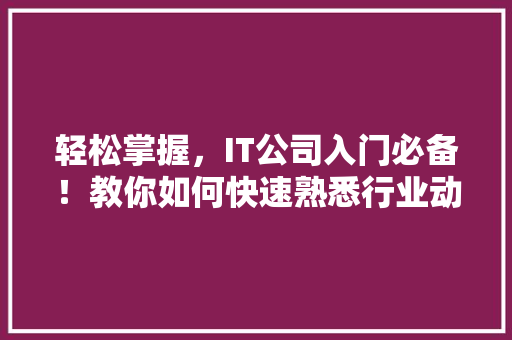 轻松掌握，IT公司入门必备！教你如何快速熟悉行业动态，打造爆款公众号 百度SEO
