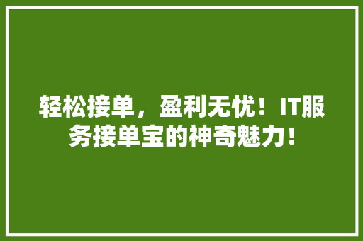 轻松接单，盈利无忧！IT服务接单宝的神奇魅力！ 百度SEO