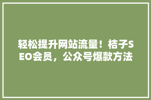 轻松提升网站流量！桔子SEO会员，公众号爆款方法 必应SEO