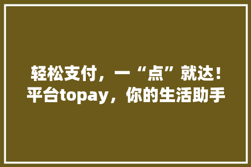 轻松支付，一“点”就达！平台topay，你的生活助手 搜狗SEO