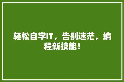 轻松自学IT，告别迷茫，编程新技能！ 必应SEO