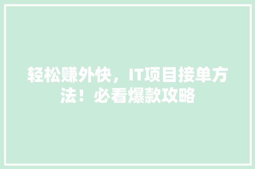 轻松赚外快，IT项目接单方法！必看爆款攻略 GoogleSEO