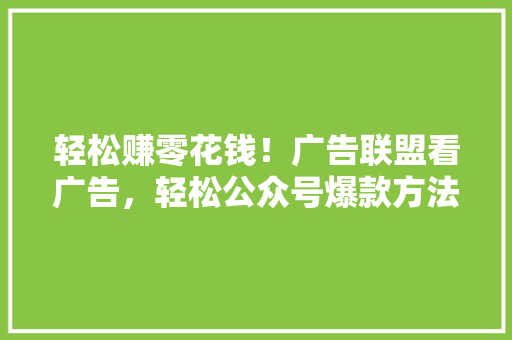轻松赚零花钱！广告联盟看广告，轻松公众号爆款方法 必应SEO