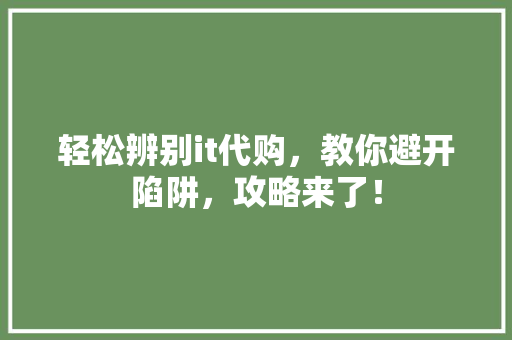 轻松辨别it代购，教你避开陷阱，攻略来了！ GoogleSEO