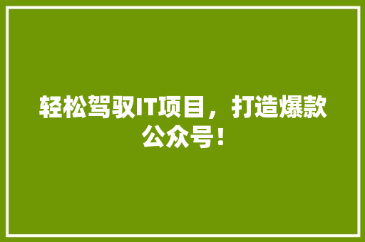 轻松驾驭IT项目，打造爆款公众号！ GoogleSEO