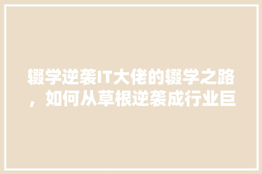 辍学逆袭IT大佬的辍学之路，如何从草根逆袭成行业巨头 神马SEO