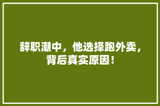 辞职潮中，他选择跑外卖，背后真实原因！ 搜狗SEO