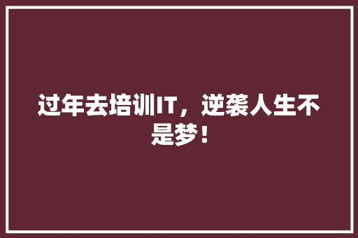 过年去培训IT，逆袭人生不是梦！ 搜狗SEO