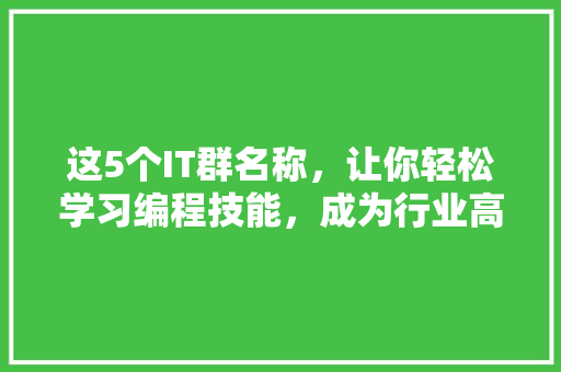 这5个IT群名称，让你轻松学习编程技能，成为行业高手！ 百度SEO