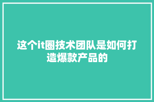 这个it圈技术团队是如何打造爆款产品的 必应SEO