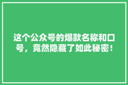 这个公众号的爆款名称和口号，竟然隐藏了如此秘密！ 必应SEO