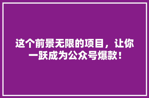 这个前景无限的项目，让你一跃成为公众号爆款！ GoogleSEO