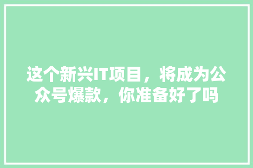 这个新兴IT项目，将成为公众号爆款，你准备好了吗 搜狗SEO