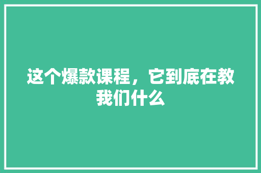 这个爆款课程，它到底在教我们什么 GoogleSEO