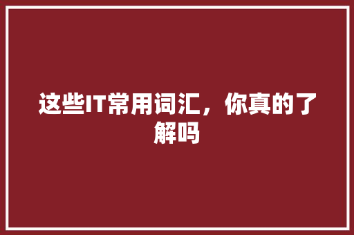 这些IT常用词汇，你真的了解吗 神马SEO