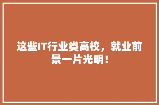 这些IT行业类高校，就业前景一片光明！ 百度SEO