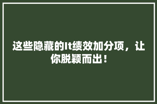 这些隐藏的It绩效加分项，让你脱颖而出！ GoogleSEO
