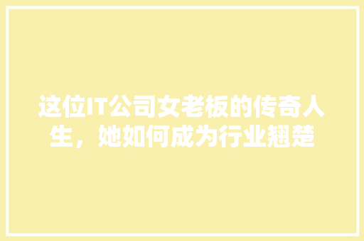 这位IT公司女老板的传奇人生，她如何成为行业翘楚 神马SEO