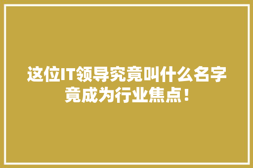 这位IT领导究竟叫什么名字竟成为行业焦点！ 百度SEO