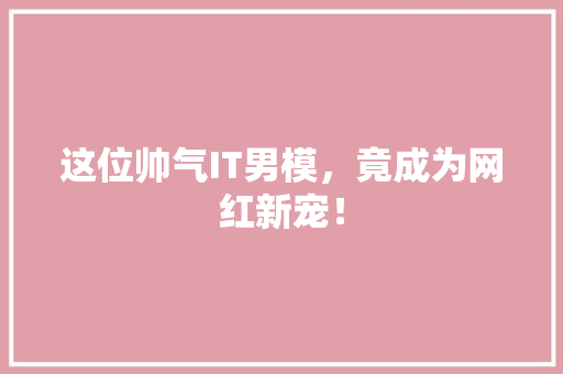 这位帅气IT男模，竟成为网红新宠！ 百度SEO