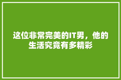 这位非常完美的IT男，他的生活究竟有多精彩 GoogleSEO