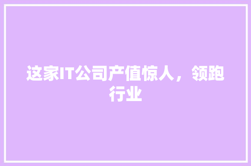这家IT公司产值惊人，领跑行业 GoogleSEO