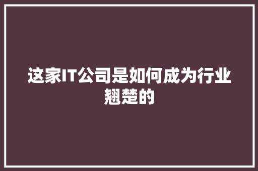 这家IT公司是如何成为行业翘楚的 GoogleSEO