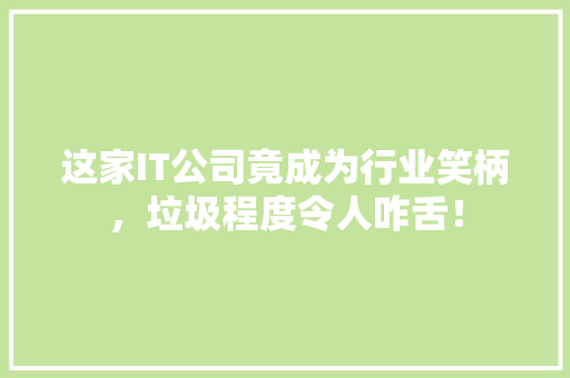 这家IT公司竟成为行业笑柄，垃圾程度令人咋舌！ GoogleSEO