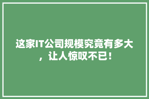这家IT公司规模究竟有多大，让人惊叹不已！ GoogleSEO