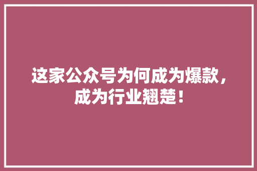 这家公众号为何成为爆款，成为行业翘楚！ 神马SEO