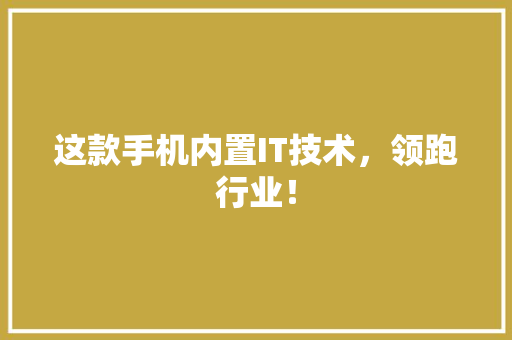 这款手机内置IT技术，领跑行业！ GoogleSEO
