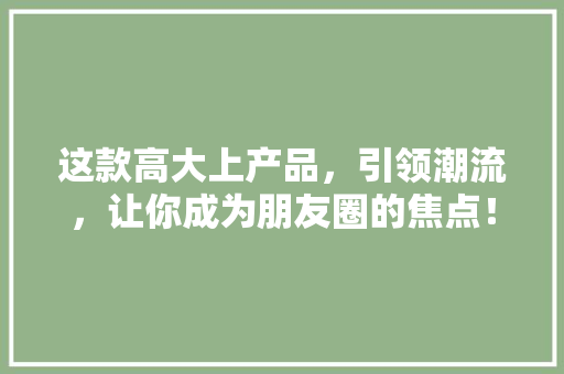 这款高大上产品，引领潮流，让你成为朋友圈的焦点！ GoogleSEO
