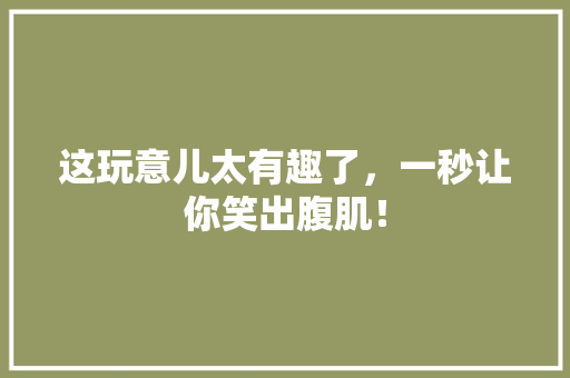 这玩意儿太有趣了，一秒让你笑出腹肌！ 百度SEO