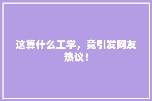 这算什么工学，竟引发网友热议！ 必应SEO