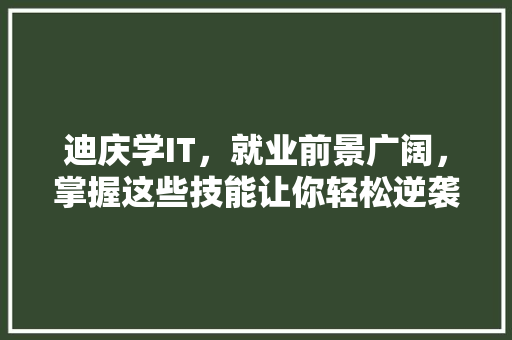 迪庆学IT，就业前景广阔，掌握这些技能让你轻松逆袭！ GoogleSEO