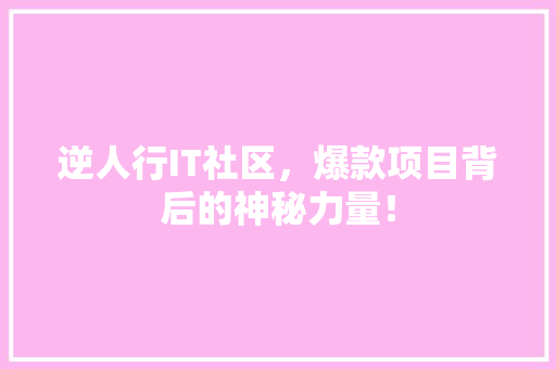 逆人行IT社区，爆款项目背后的神秘力量！ 百度SEO