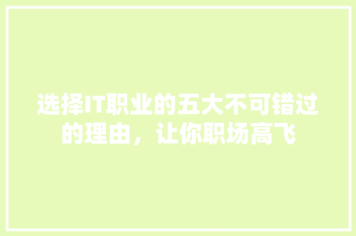 选择IT职业的五大不可错过的理由，让你职场高飞 必应SEO