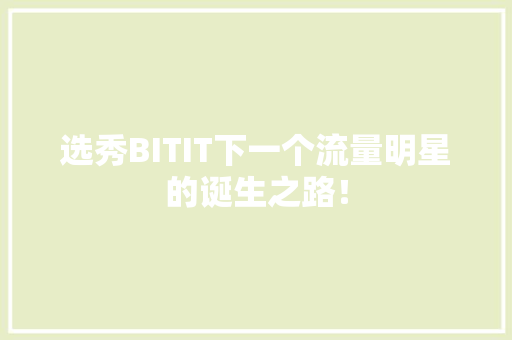 选秀BITIT下一个流量明星的诞生之路！ 必应SEO