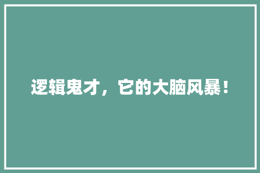逻辑鬼才，它的大脑风暴！ GoogleSEO
