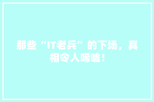 那些“IT老兵”的下场，真相令人唏嘘！ 神马SEO