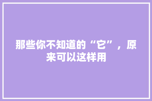 那些你不知道的“它”，原来可以这样用 神马SEO