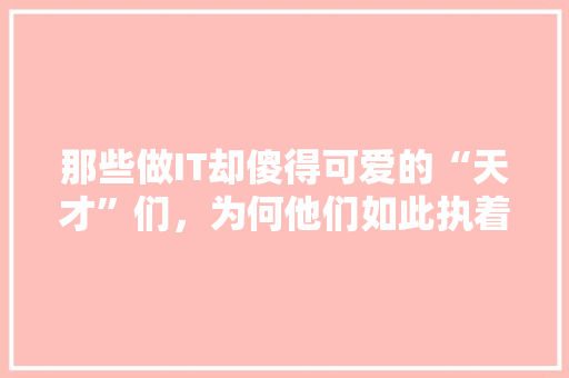 那些做IT却傻得可爱的“天才”们，为何他们如此执着 百度SEO