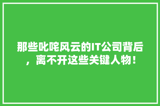 那些叱咤风云的IT公司背后，离不开这些关键人物！ 必应SEO