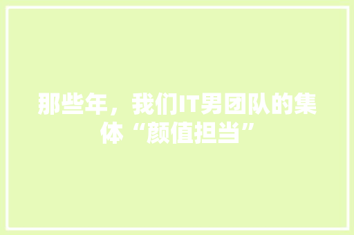 那些年，我们IT男团队的集体“颜值担当” GoogleSEO